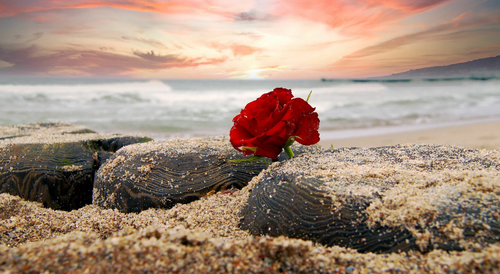 Rote Rosen liegen auf schwarzen Steinen im Sand, am Strand mit Wellen und einem Sonnenuntergang im Hintergrund.